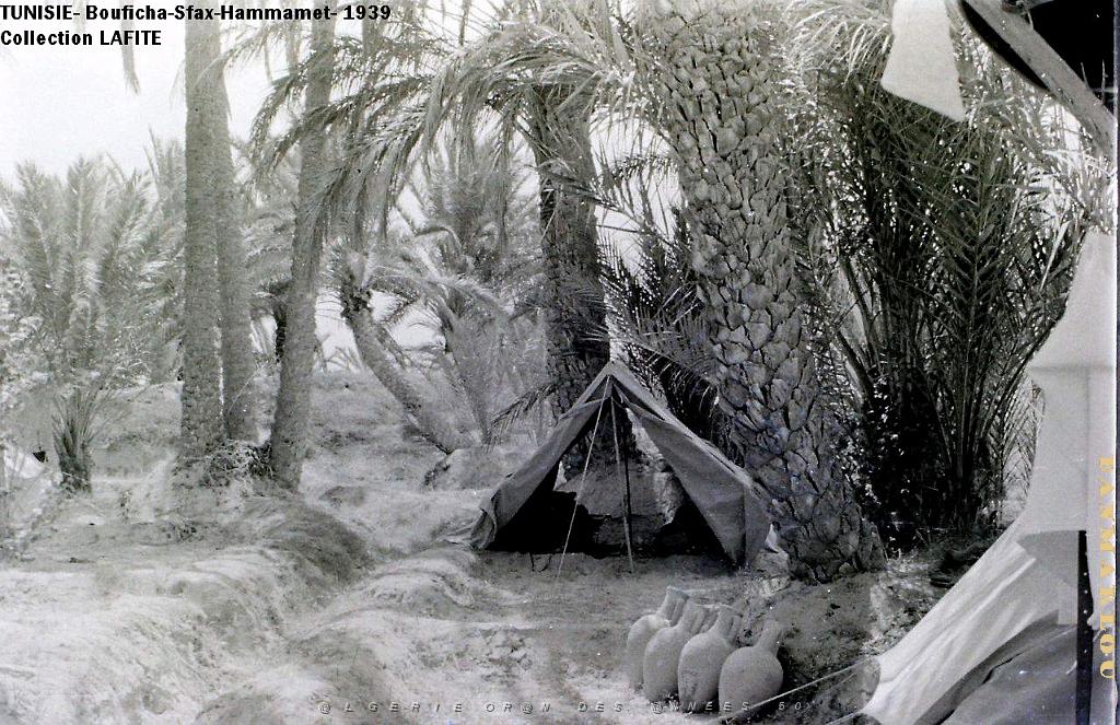 TUNISIE 1939  66 EME  REGIMENT D ARTILLERIE (48).JPG